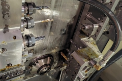 WhatsApp Image 2026-01-15 at 08.42.11 (1)